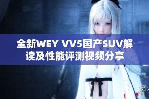 全新WEY VV5国产SUV解读及性能评测视频分享