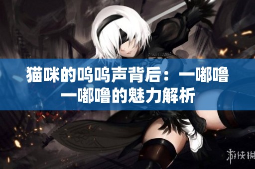 猫咪的呜呜声背后：一嘟噜一嘟噜的魅力解析