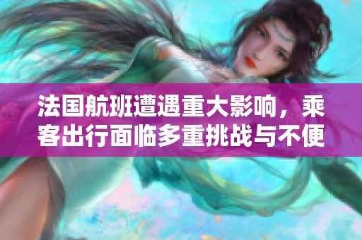 法国航班遭遇重大影响，乘客出行面临多重挑战与不便