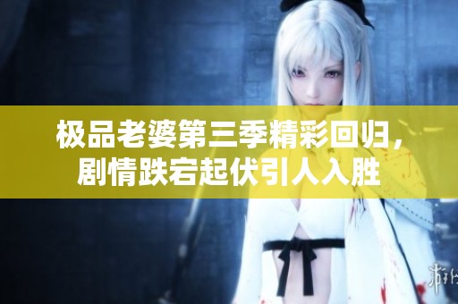 极品老婆第三季精彩回归，剧情跌宕起伏引人入胜