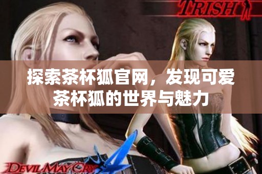 探索茶杯狐官网，发现可爱茶杯狐的世界与魅力