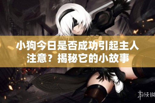 小狗今日是否成功引起主人注意？揭秘它的小故事