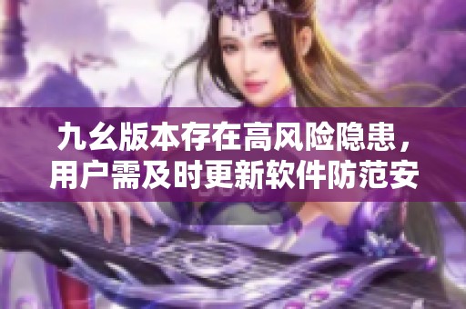 九幺版本存在高风险隐患，用户需及时更新软件防范安全问题