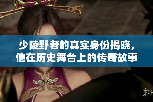 少陵野老的真实身份揭晓，他在历史舞台上的传奇故事解析