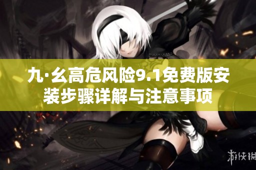 九·幺高危风险9.1免费版安装步骤详解与注意事项