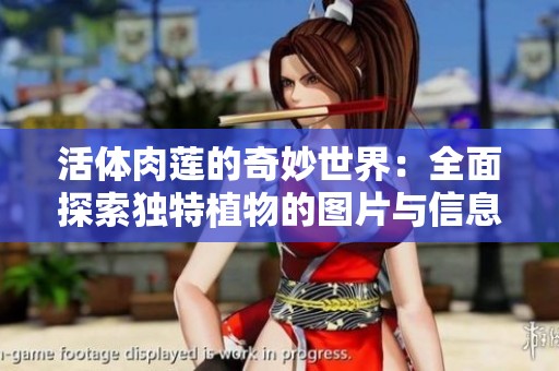 活体肉莲的奇妙世界：全面探索独特植物的图片与信息合集