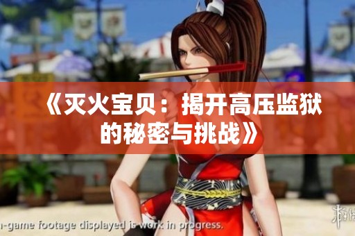 《灭火宝贝：揭开高压监狱的秘密与挑战》