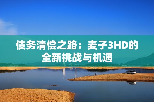 债务清偿之路：麦子3HD的全新挑战与机遇