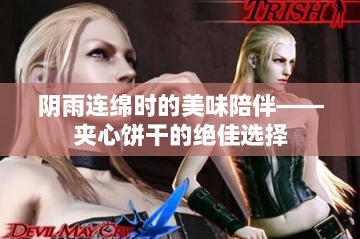 阴雨连绵时的美味陪伴——夹心饼干的绝佳选择