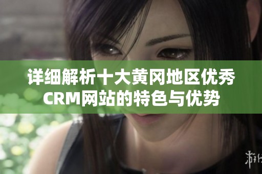 详细解析十大黄冈地区优秀CRM网站的特色与优势