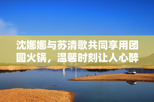沈娜娜与苏清歌共同享用团圆火锅，温馨时刻让人心醉