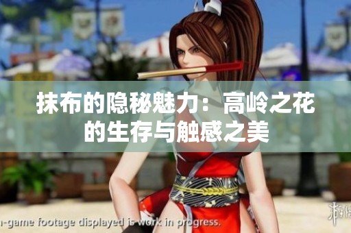 抹布的隐秘魅力：高岭之花的生存与触感之美