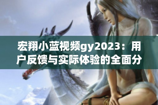 宏翔小蓝视频gy2023：用户反馈与实际体验的全面分析