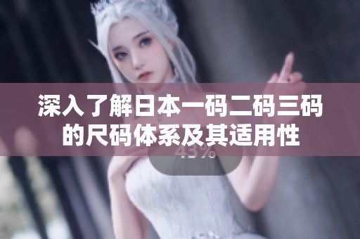 深入了解日本一码二码三码的尺码体系及其适用性