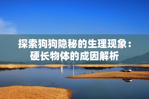探索狗狗隐秘的生理现象：硬长物体的成因解析