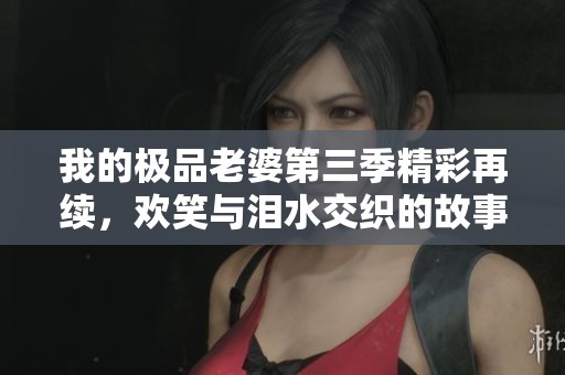 我的极品老婆第三季精彩再续，欢笑与泪水交织的故事纷呈上演