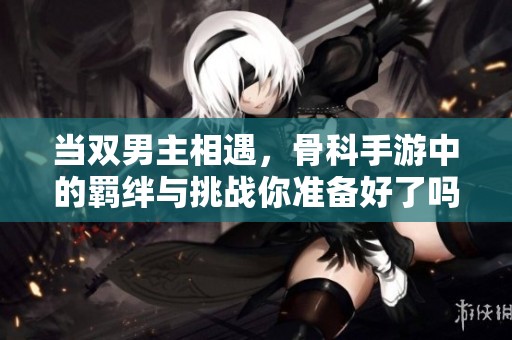 当双男主相遇，骨科手游中的羁绊与挑战你准备好了吗