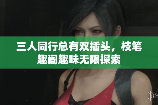 三人同行总有双插头，枝笔趣阁趣味无限探索