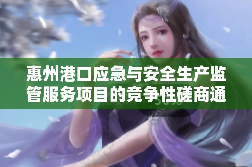 惠州港口应急与安全生产监管服务项目的竞争性磋商通知