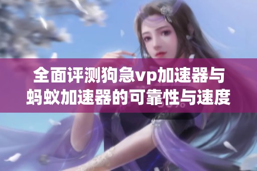 全面评测狗急vp加速器与蚂蚁加速器的可靠性与速度表现