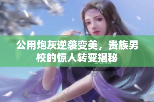 公用炮灰逆袭变美，贵族男校的惊人转变揭秘