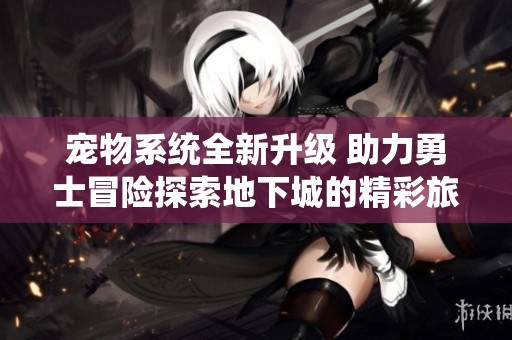 宠物系统全新升级 助力勇士冒险探索地下城的精彩旅程