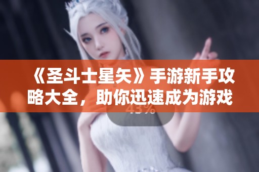 《圣斗士星矢》手游新手攻略大全，助你迅速成为游戏高手