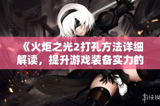 《火炬之光2打孔方法详细解读，提升游戏装备实力的技巧解析》