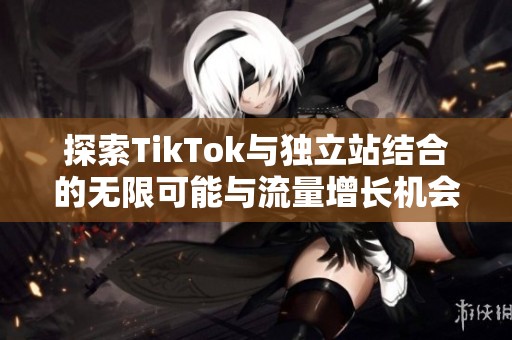 探索TikTok与独立站结合的无限可能与流量增长机会