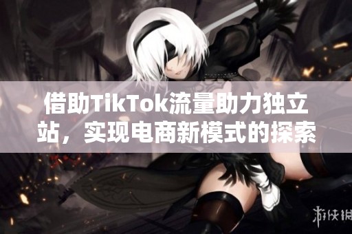 借助TikTok流量助力独立站，实现电商新模式的探索与创新