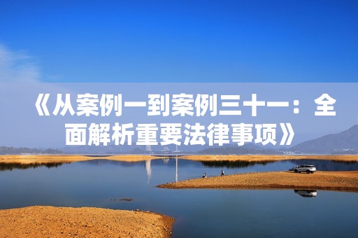 《从案例一到案例三十一：全面解析重要法律事项》