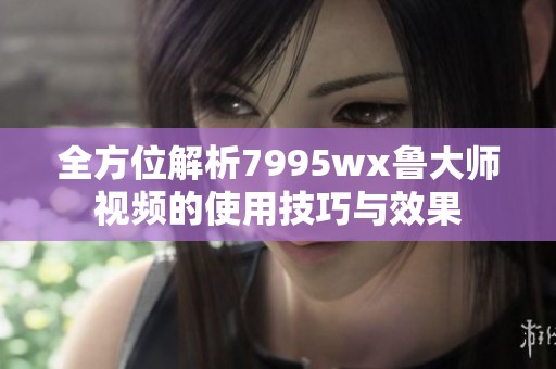 全方位解析7995wx鲁大师视频的使用技巧与效果