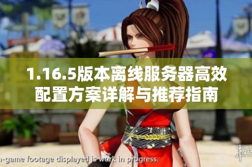 1.16.5版本离线服务器高效配置方案详解与推荐指南