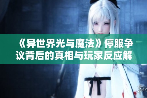 《异世界光与魔法》停服争议背后的真相与玩家反应解析