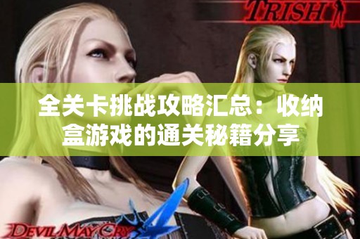 全关卡挑战攻略汇总：收纳盒游戏的通关秘籍分享