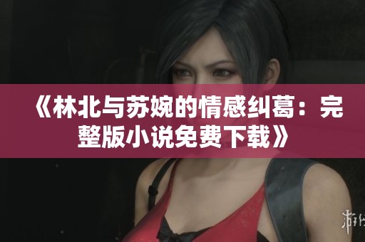 《林北与苏婉的情感纠葛：完整版小说免费下载》