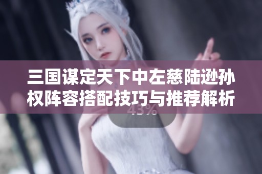 三国谋定天下中左慈陆逊孙权阵容搭配技巧与推荐解析