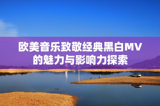 欧美音乐致敬经典黑白MV的魅力与影响力探索