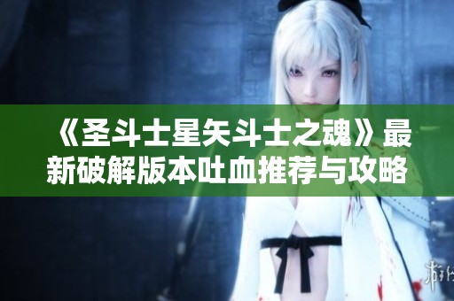 《圣斗士星矢斗士之魂》最新破解版本吐血推荐与攻略分享