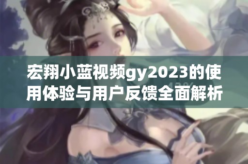 宏翔小蓝视频gy2023的使用体验与用户反馈全面解析