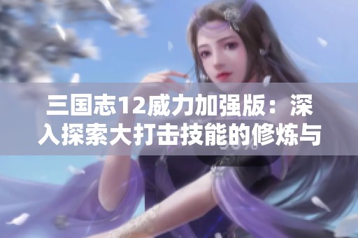 三国志12威力加强版：深入探索大打击技能的修炼与实战策略解析