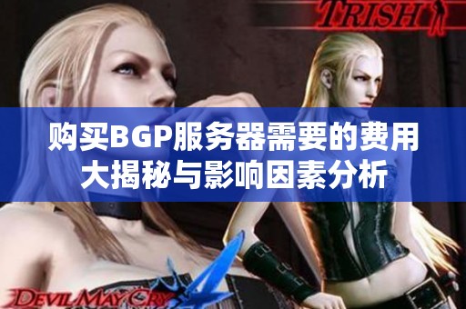 购买BGP服务器需要的费用大揭秘与影响因素分析