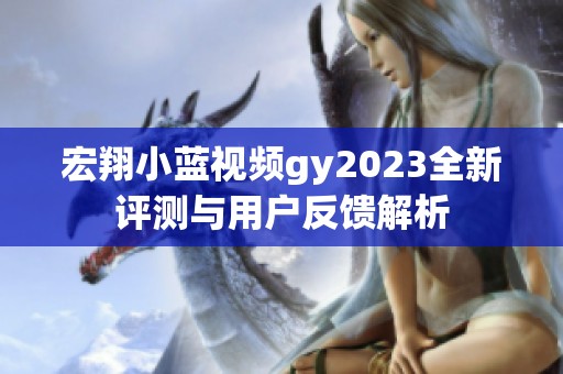 宏翔小蓝视频gy2023全新评测与用户反馈解析