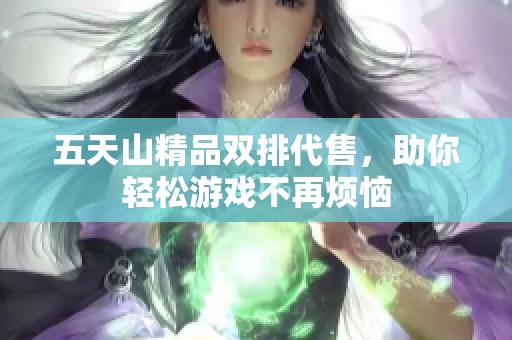 五天山精品双排代售，助你轻松游戏不再烦恼