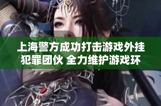 上海警方成功打击游戏外挂犯罪团伙 全力维护游戏环境安全