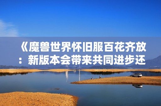 《魔兽世界怀旧服百花齐放：新版本会带来共同进步还是玩家分流》