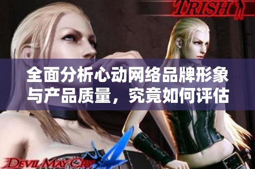 全面分析心动网络品牌形象与产品质量，究竟如何评估其口碑和价值