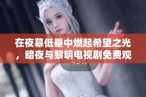 在夜幕低垂中燃起希望之光，暗夜与黎明电视剧免费观看指南