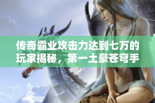 传奇霸业攻击力达到七万的玩家揭秘，第一土豪苍穹手游网详解