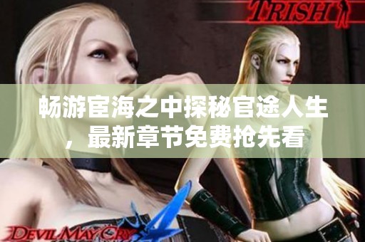 畅游宦海之中探秘官途人生，最新章节免费抢先看